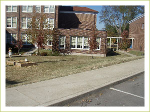 The West End IB World School before the raised garden beds arrive.