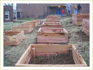 These 17 beds will hold nearly 275 vegetable and herbs from Burpee Home Gardens.