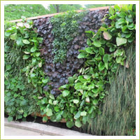 Vertical BioTile wall garden at Ball Horticultural Company.