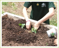 The West End Garden Club loves to DIG!