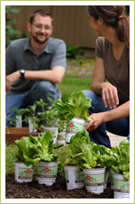 Incorporate gardening into your life