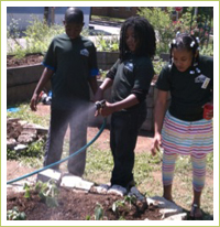 Every garden needs water to keep plants thriving 