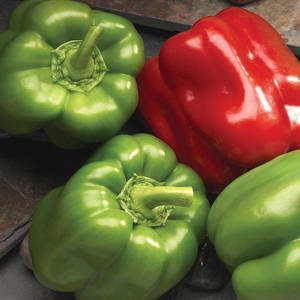 sweet bell peppers